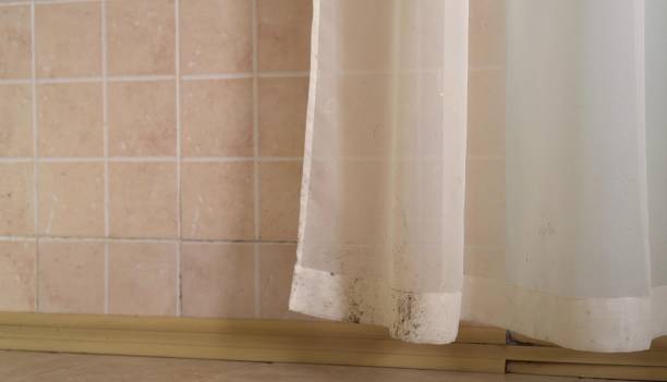 Best Water Damage & Mold Remediation  in Pompton Plains, NJ