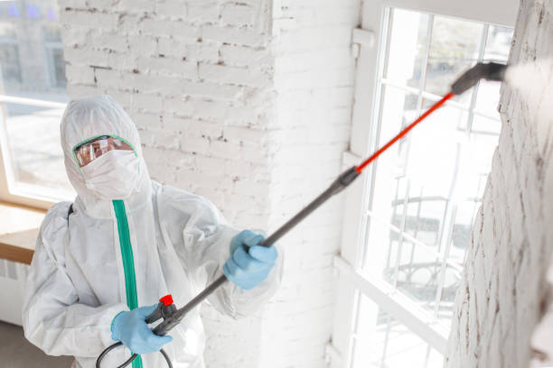 Best Emergency Mold Remediation  in Pompton Plains, NJ