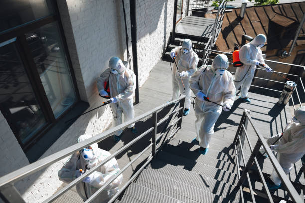  Pompton Plains, NJ Mold Removal Pros