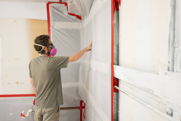Best Mold Prevention Services  in Pompton Plains, NJ