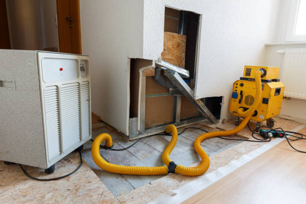 Best Industrial Mold Remediation  in Pompton Plains, NJ