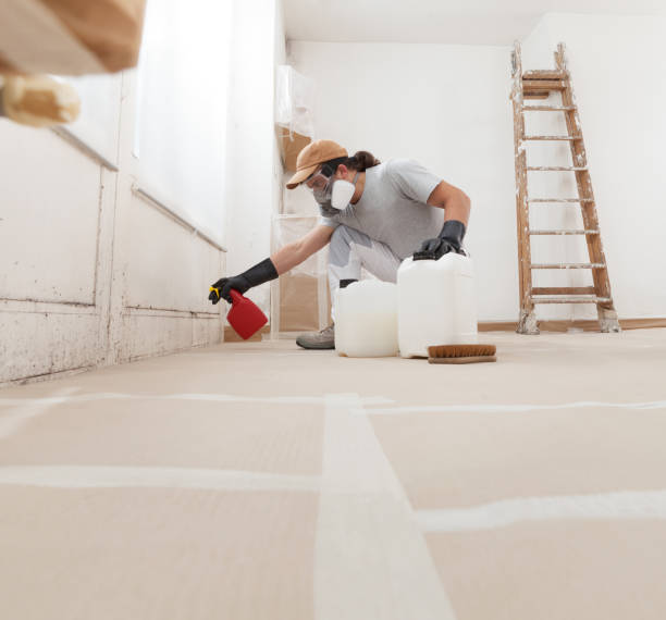 Best Asbestos and Lead Testing During Mold Inspection  in Pompton Plains, NJ