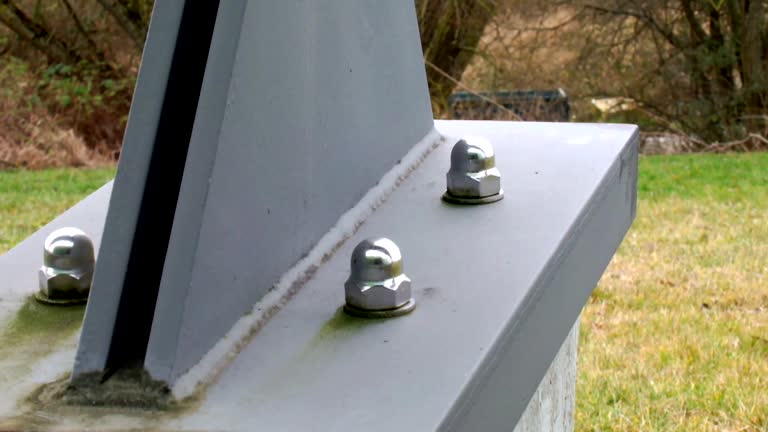 Best Mold Damage Restoration  in Pompton Plains, NJ