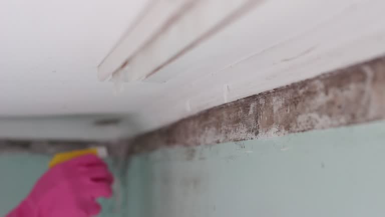 Best Residential Mold Inspection & Testing  in Pompton Plains, NJ